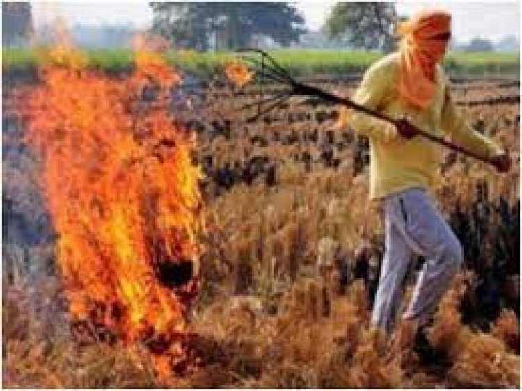 बिहार सरकार पराली जलाने पर सख्त, धान खरीद रोकने की चेतावनी